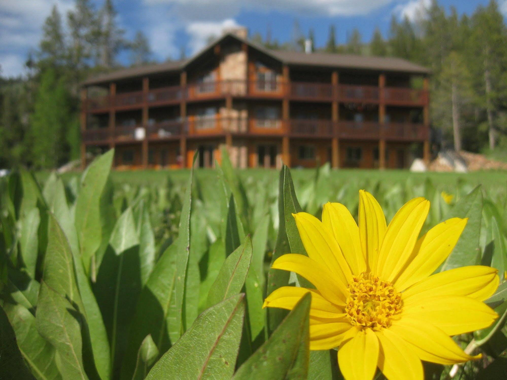 Beaver Creek Lodge Logan Esterno foto